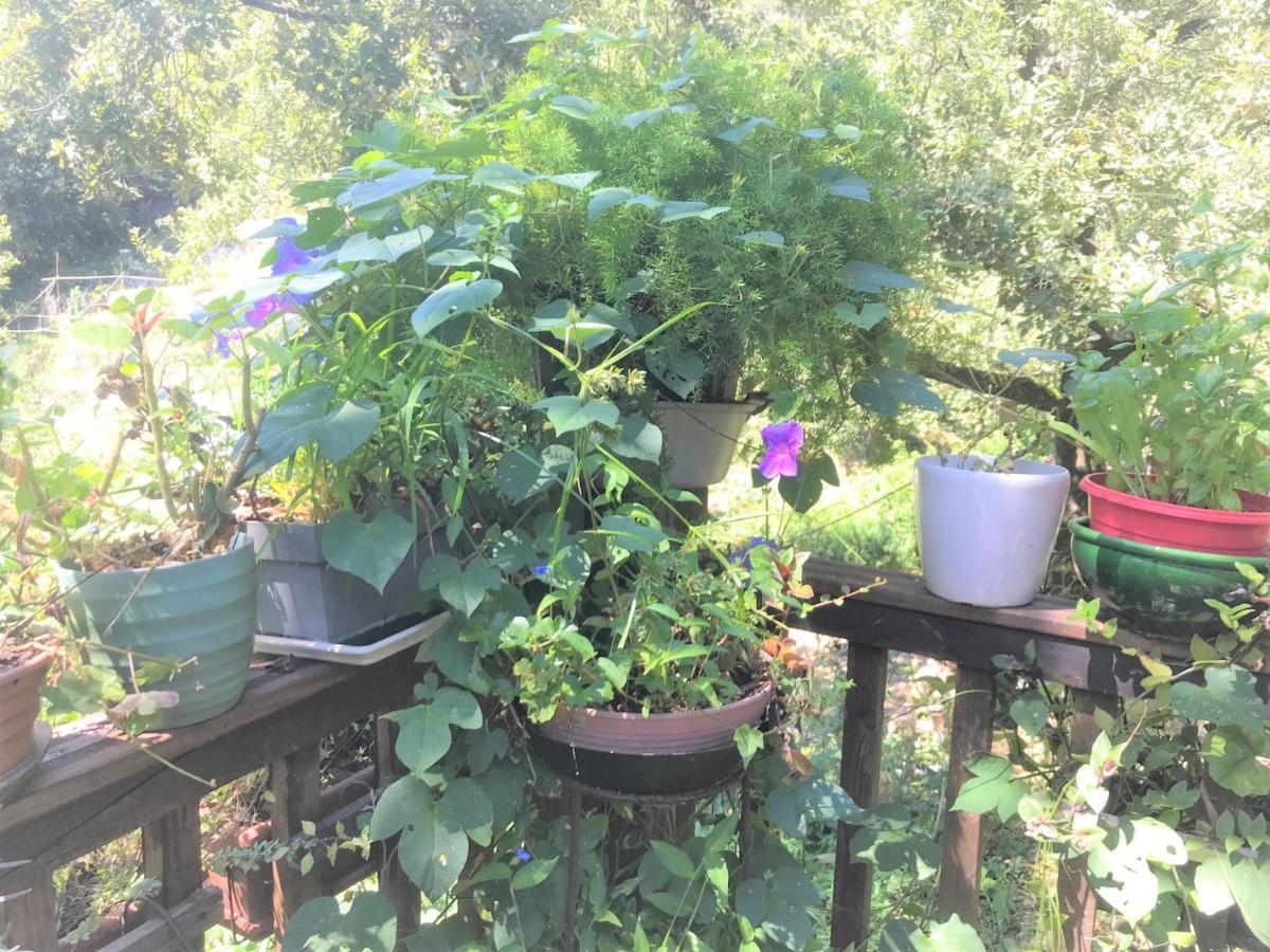 私人小木屋度假屋 拉戈代 外观 照片